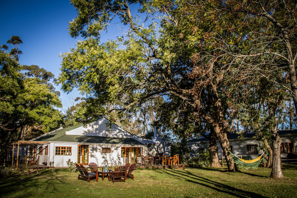 Addo African Home Eksteriør bilde