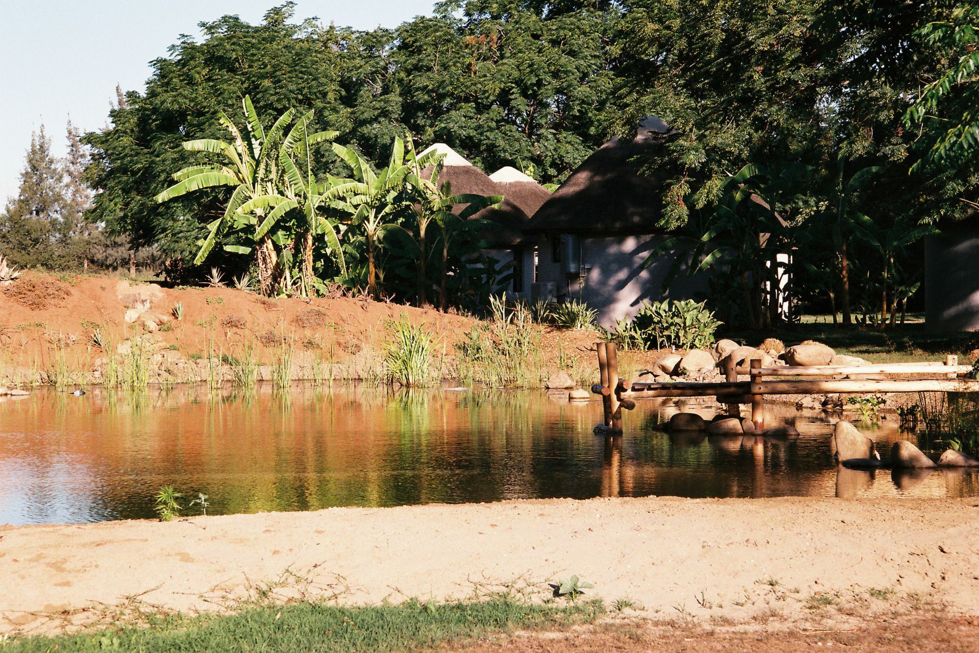 Addo African Home Eksteriør bilde