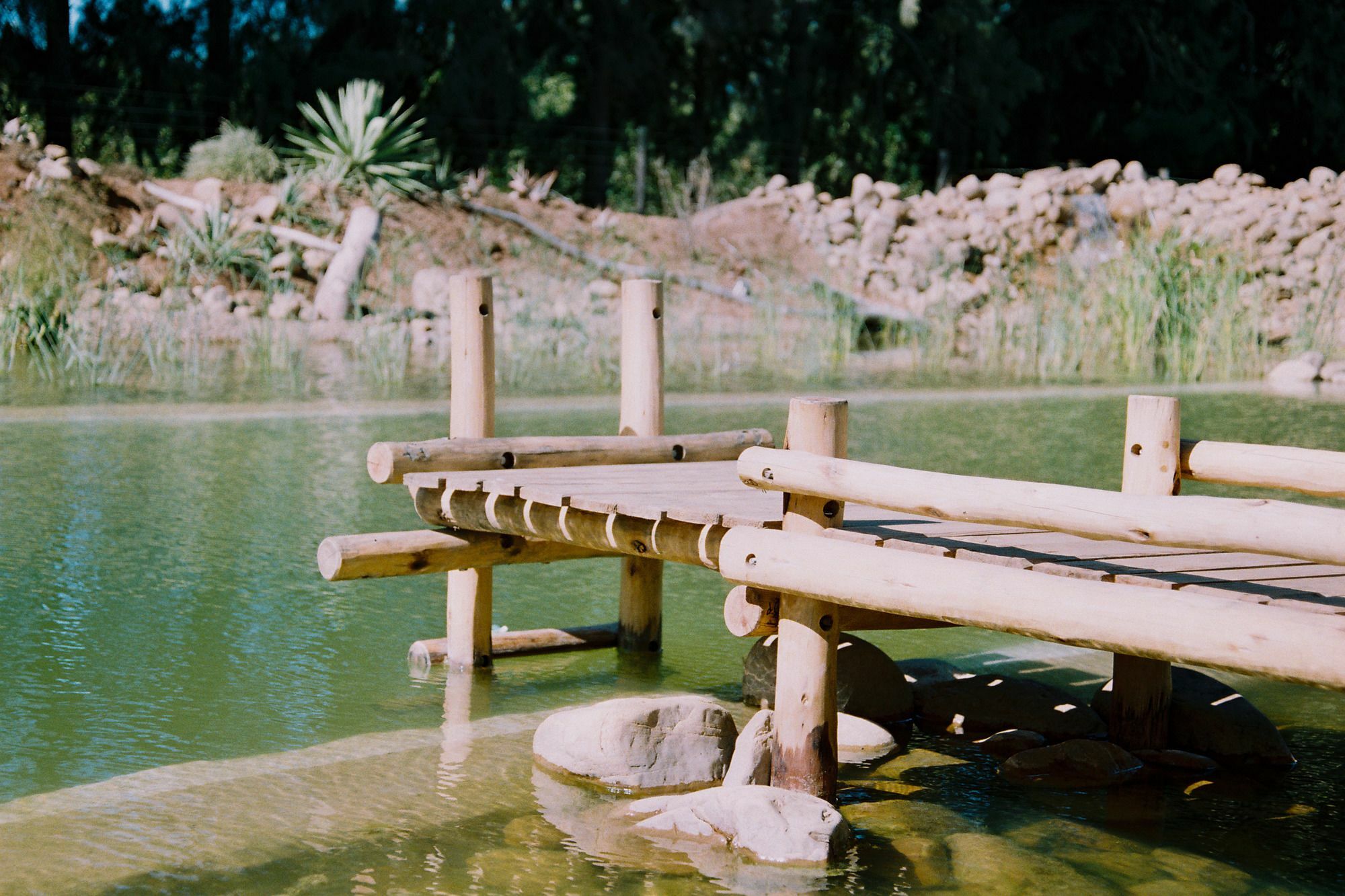 Addo African Home Eksteriør bilde