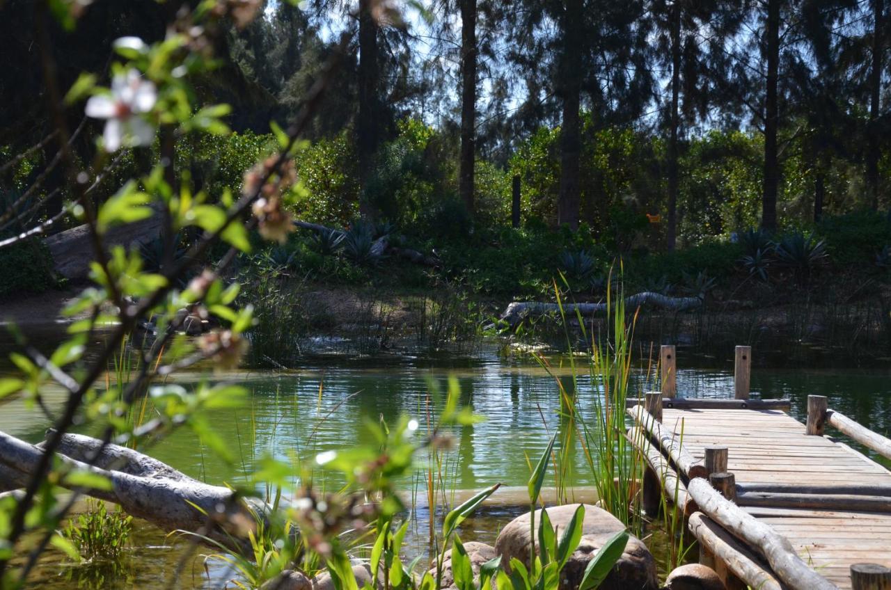 Addo African Home Eksteriør bilde