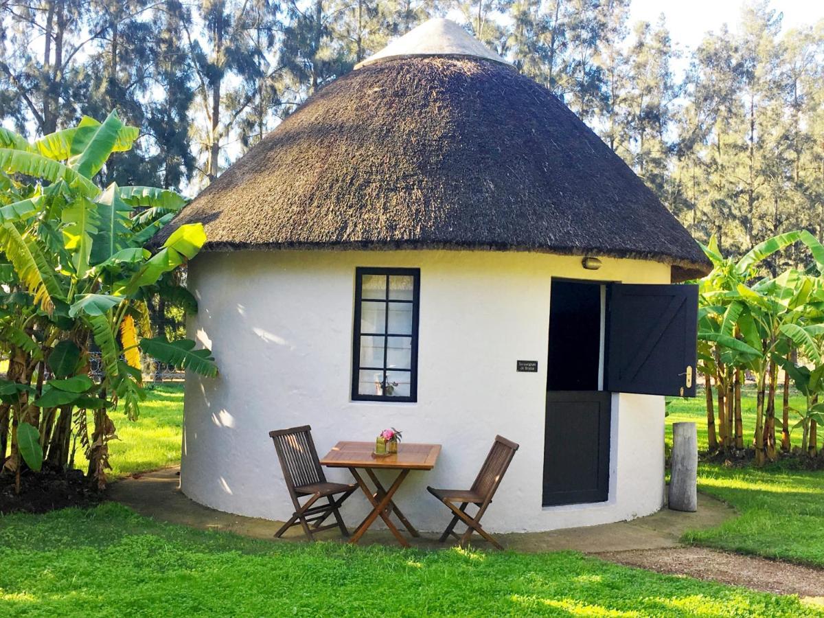 Addo African Home Eksteriør bilde