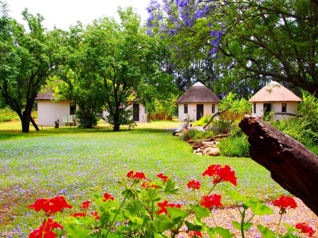 Addo African Home Eksteriør bilde